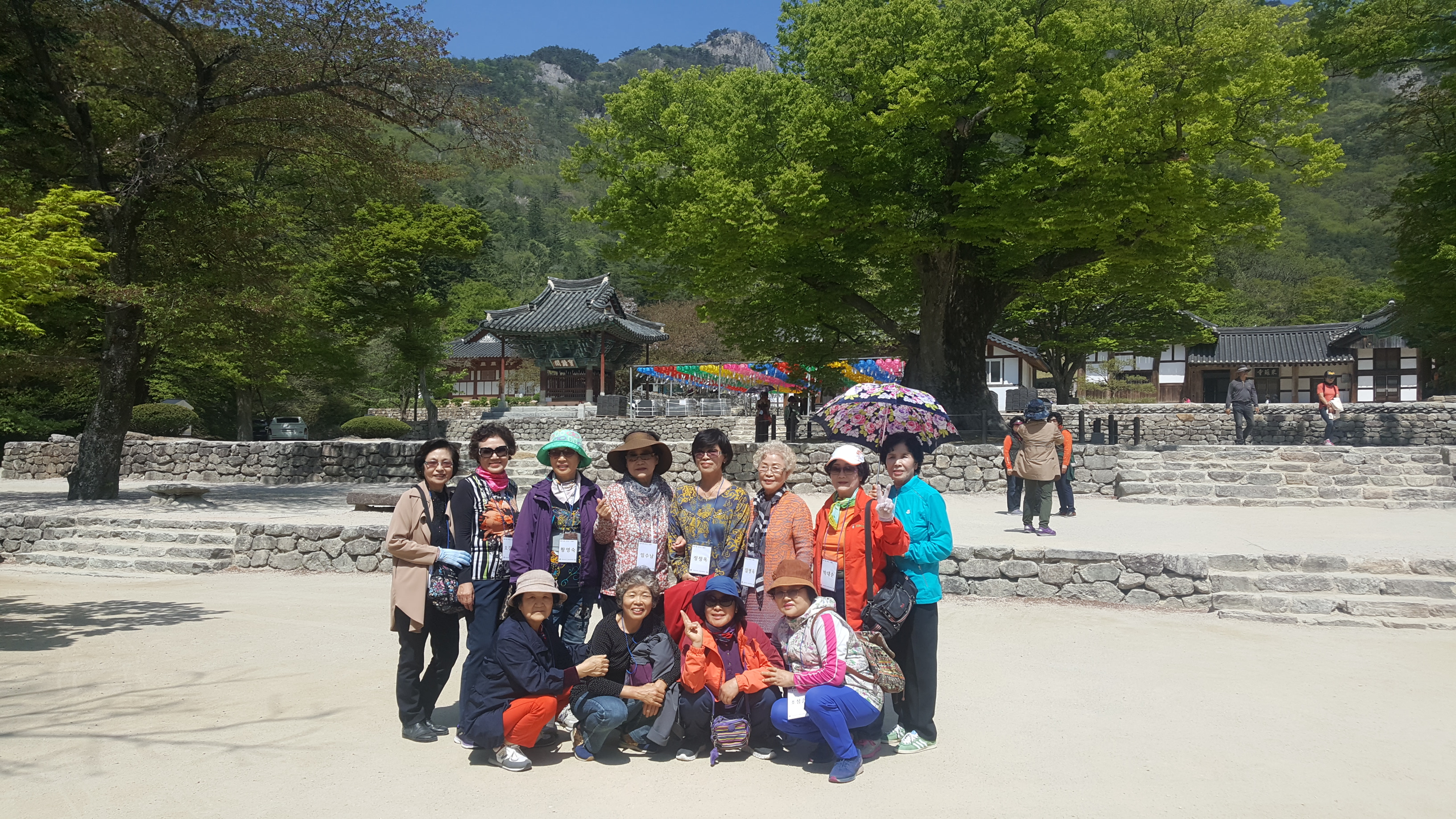 청춘 愛, 어르신 나들이