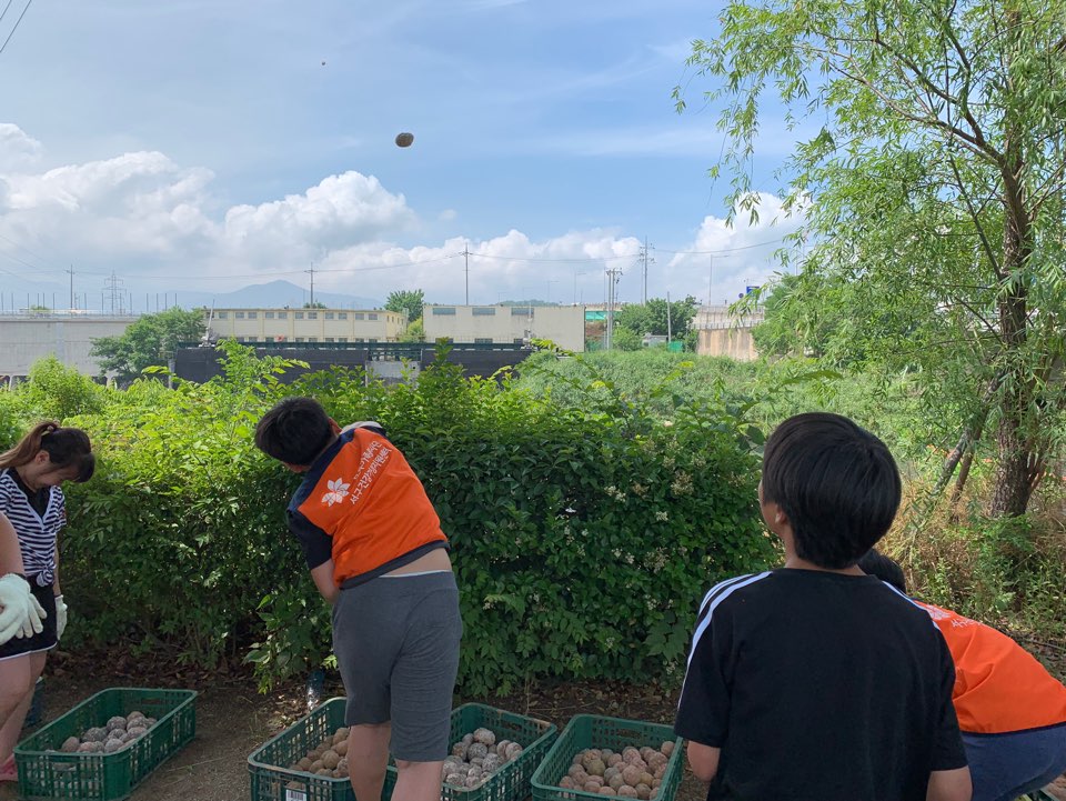 2019년 모두가족봉사단 6월 활동
