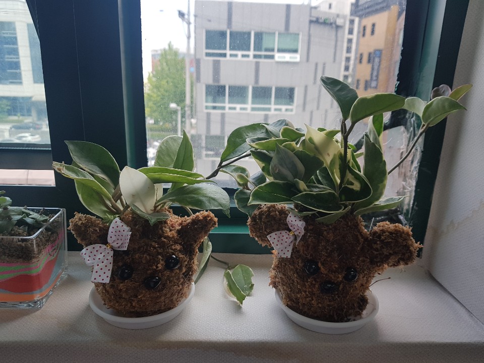 2019년 도서관 다문화 서비스 지원사업 
