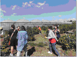 external_image