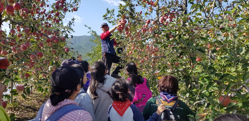 다문화 가족 체험 「사과따고, 사랑따고 우리가족 사과day」
