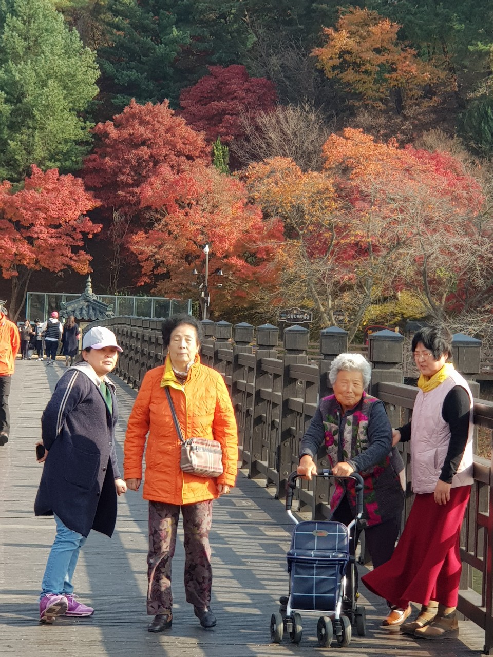 고부나들이 