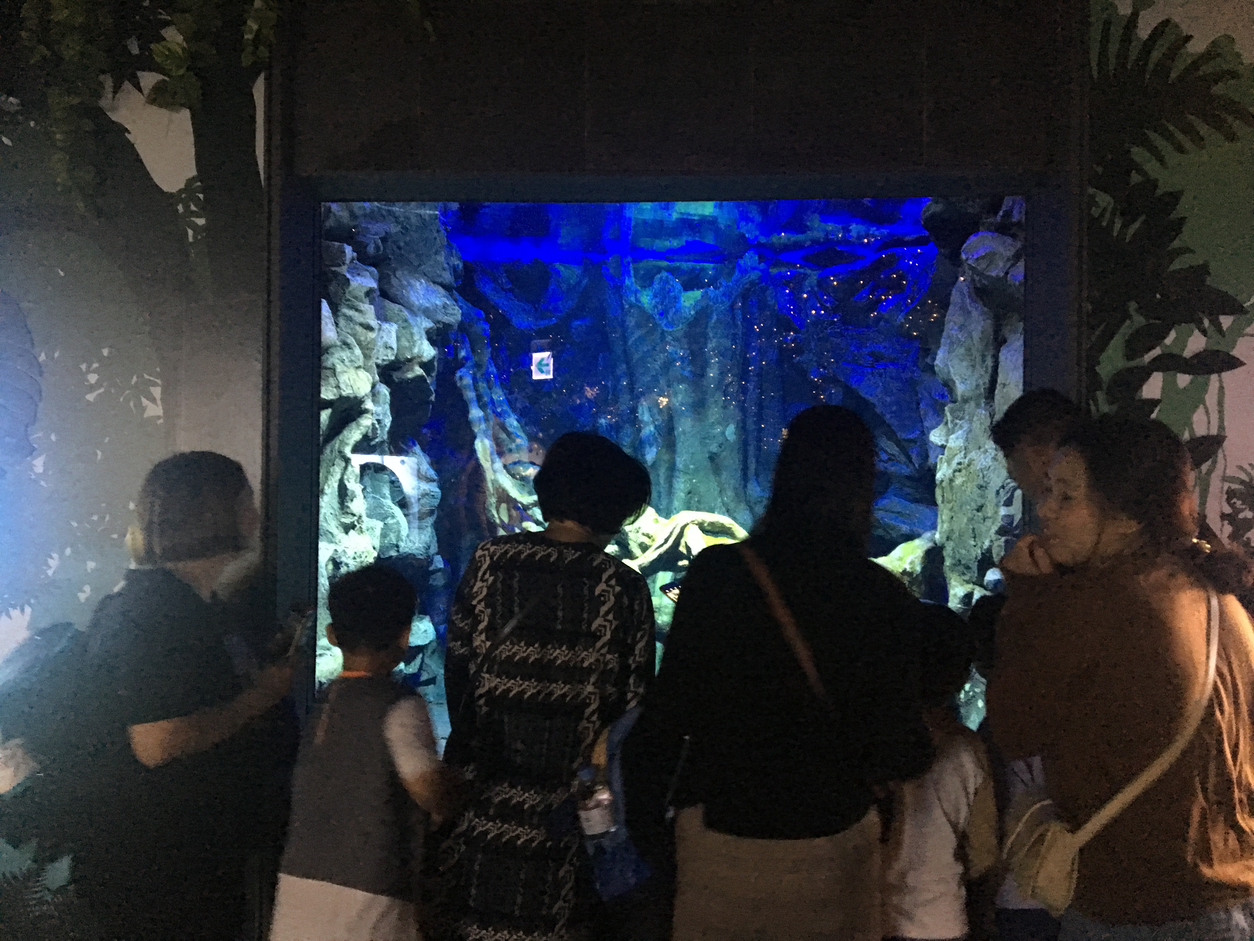 2019-09-22 해피트레인 기차여행