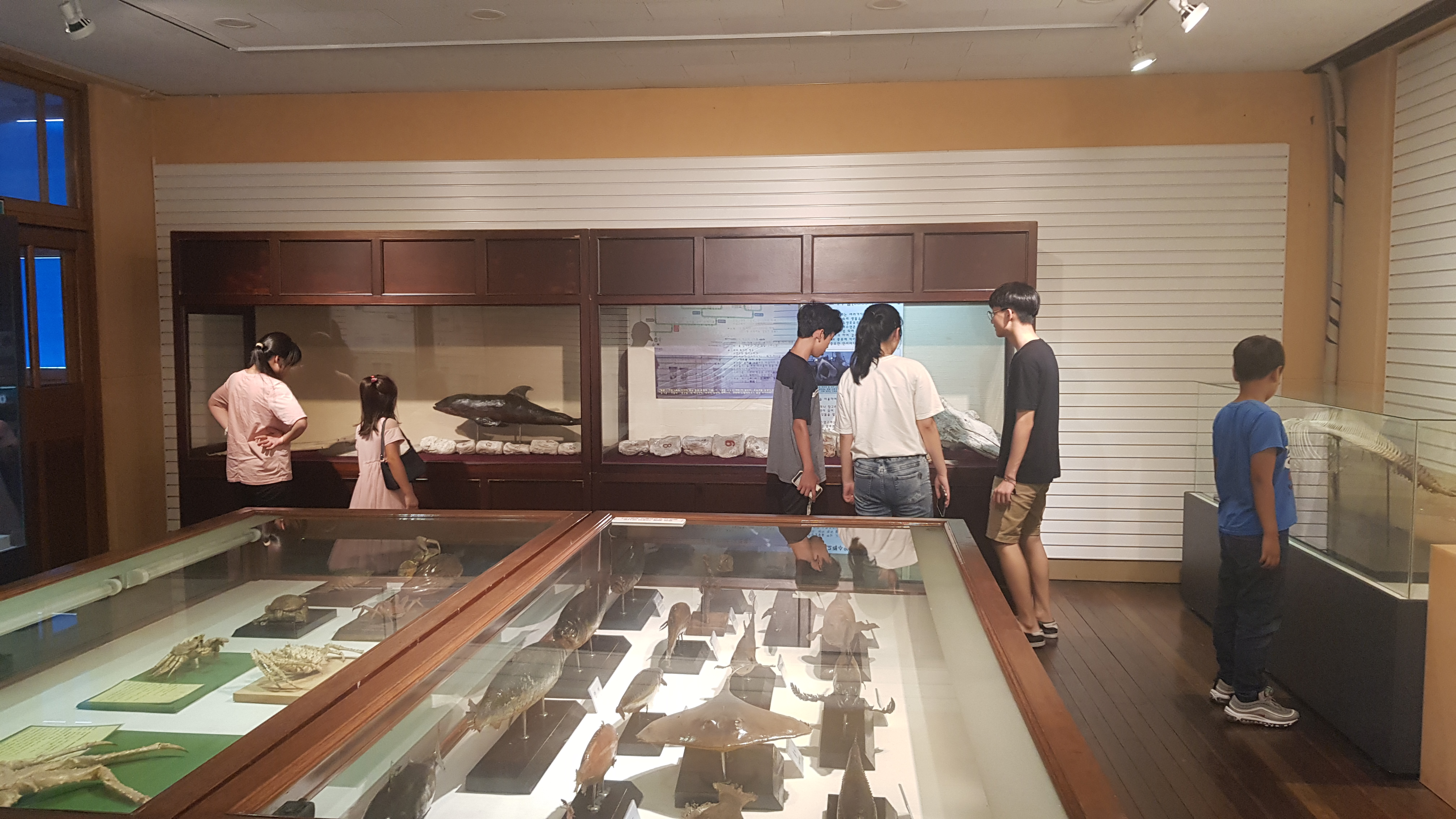 2019년 한국문화이해 