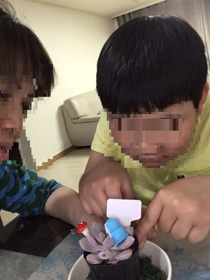 6월 가족사랑의 날 '도우아트 화분만들기' 진행