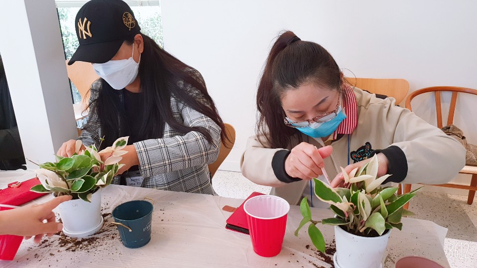 식물로  치유하는  원예 심리치료 개강!