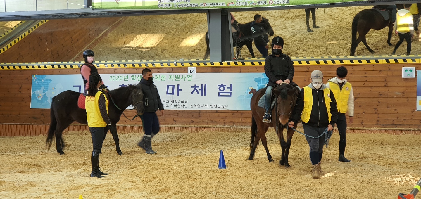 성운대와 함께하는 다문화가족 승마체험교실