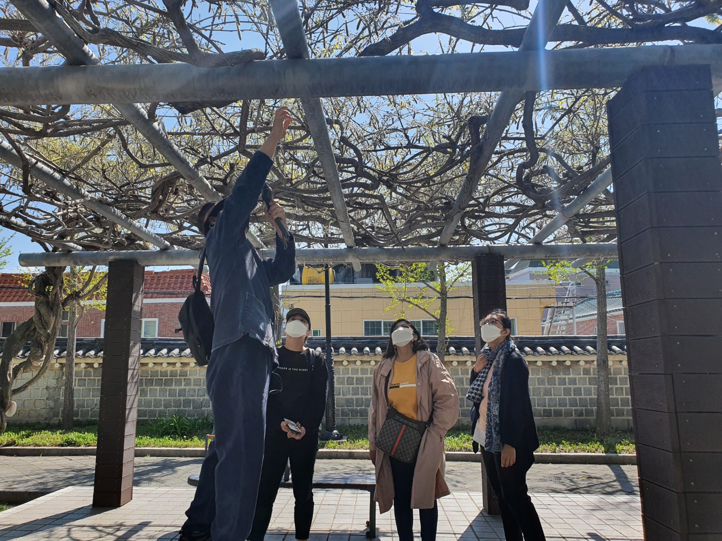'힐링 숲 체험 산림전문 교육과정' 4/5~6/7 매주 월요일 