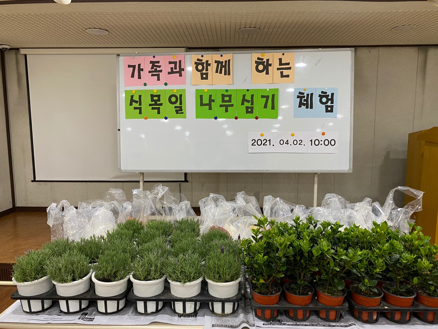 2021-04-02 가족나무심기체험