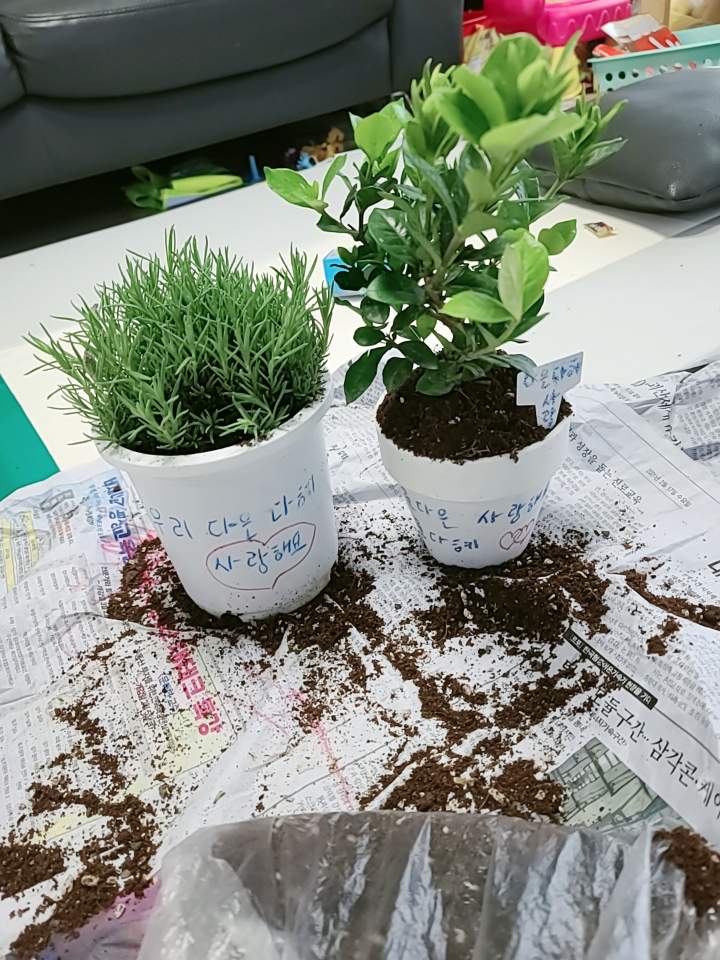 2021-04-02 가족나무심기체험