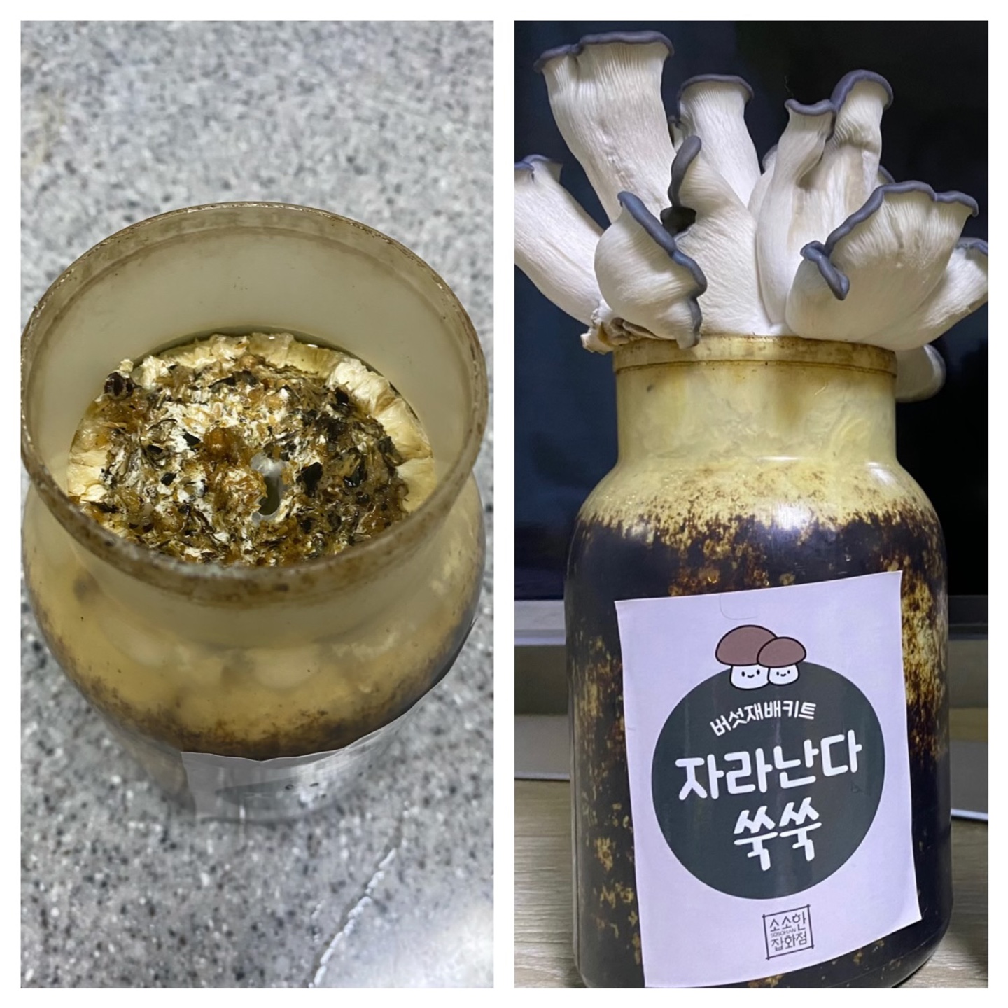 함께해요~환경사랑 동아리 정기모임 10회기 