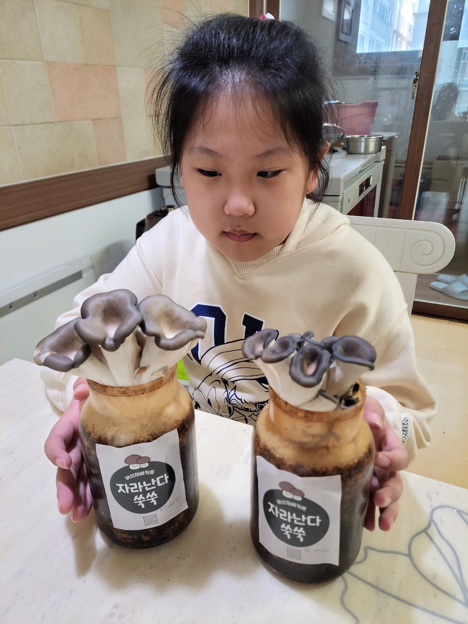 2021년 다문화가족 문화체험 - 반찬용 느타리버섯 키우기