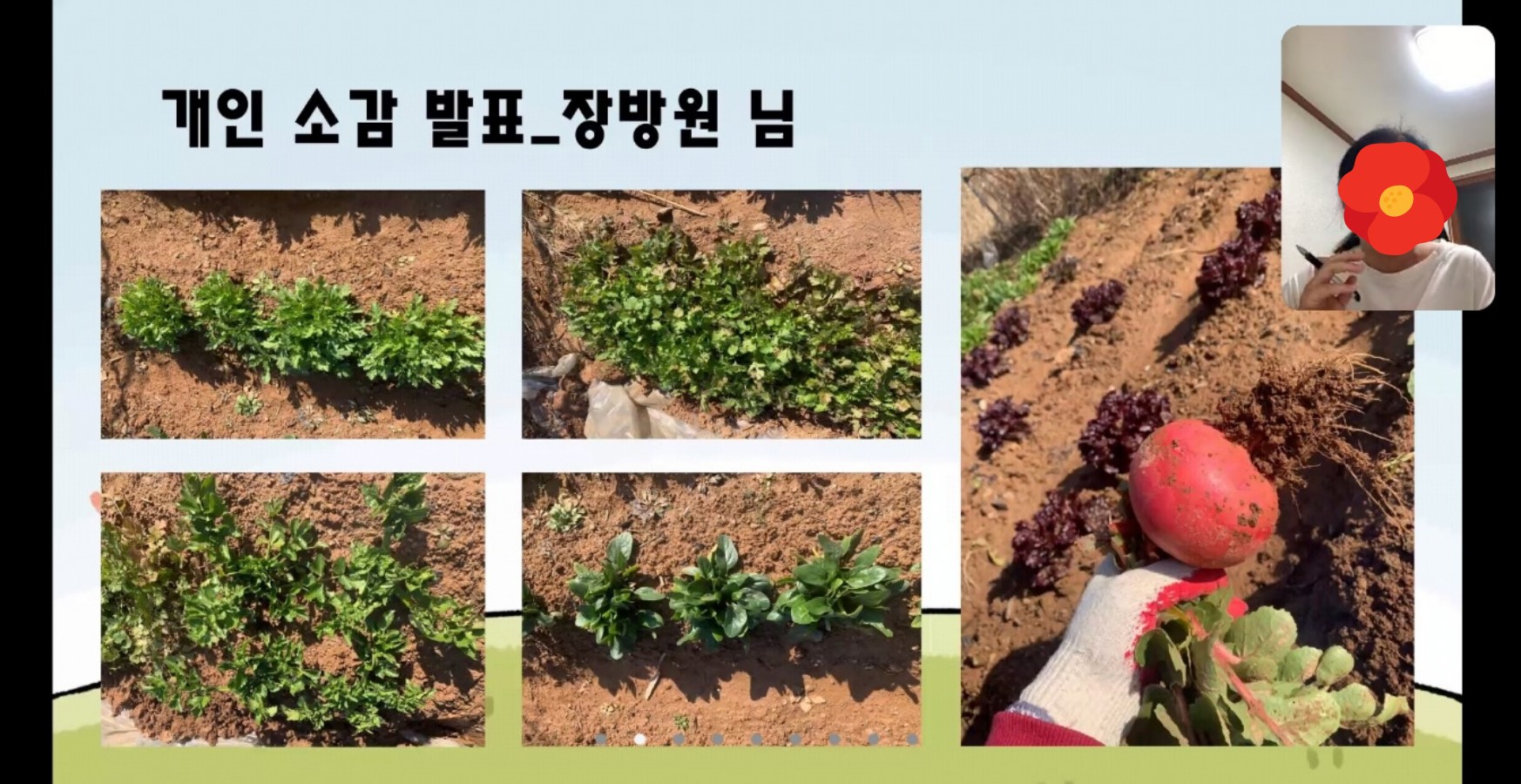 2021년 결혼이민자 텃밭가꾸기 사업 '다같이 심고, 다가치 난다.' 종료!