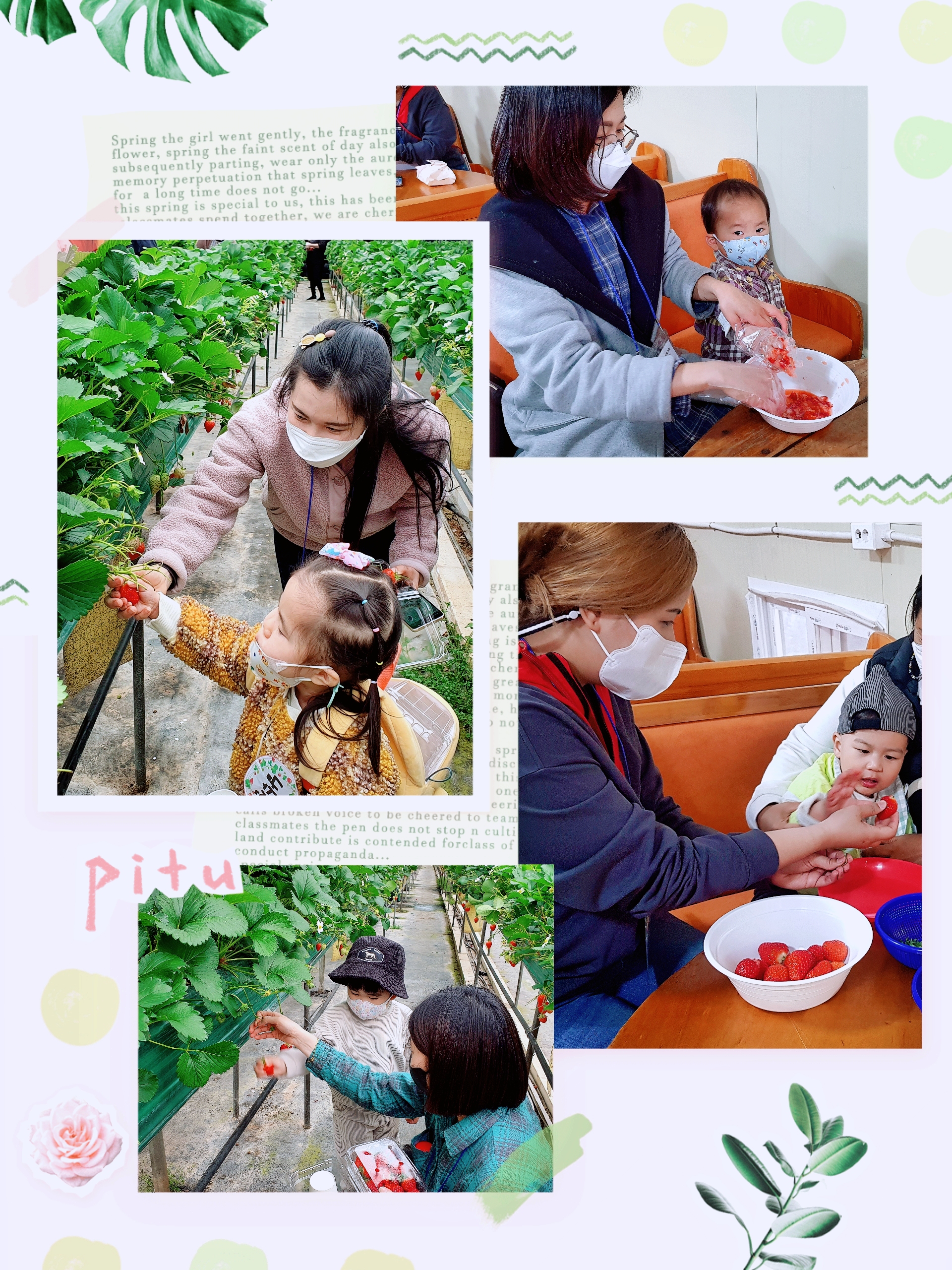 다문화가족 자녀 언어발달지원사업 부모자조모임(영유아기) '엄마와 함께하는 딸기따기 체험' 진행