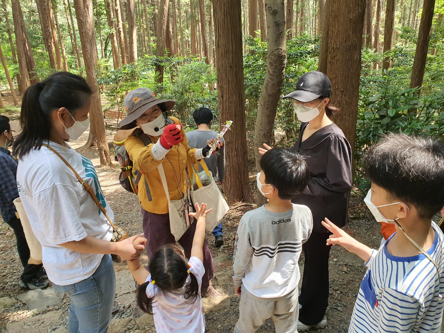 가족과 함께 숲으로 산책가자