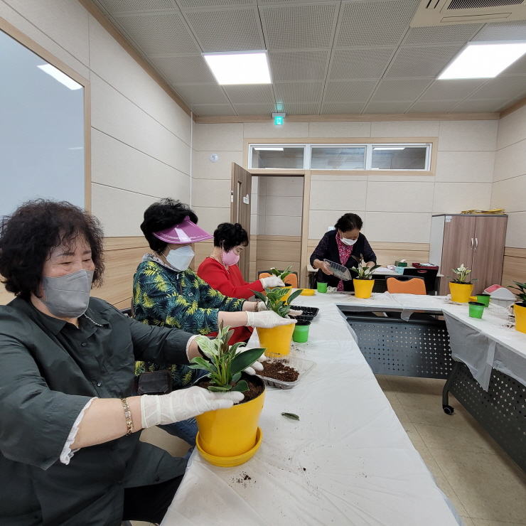 1인가구-식물과 함께하는 노후 '반려식물 입양하기1'
