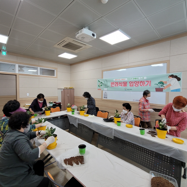 1인가구-식물과 함께하는 노후 '반려식물 입양하기1'