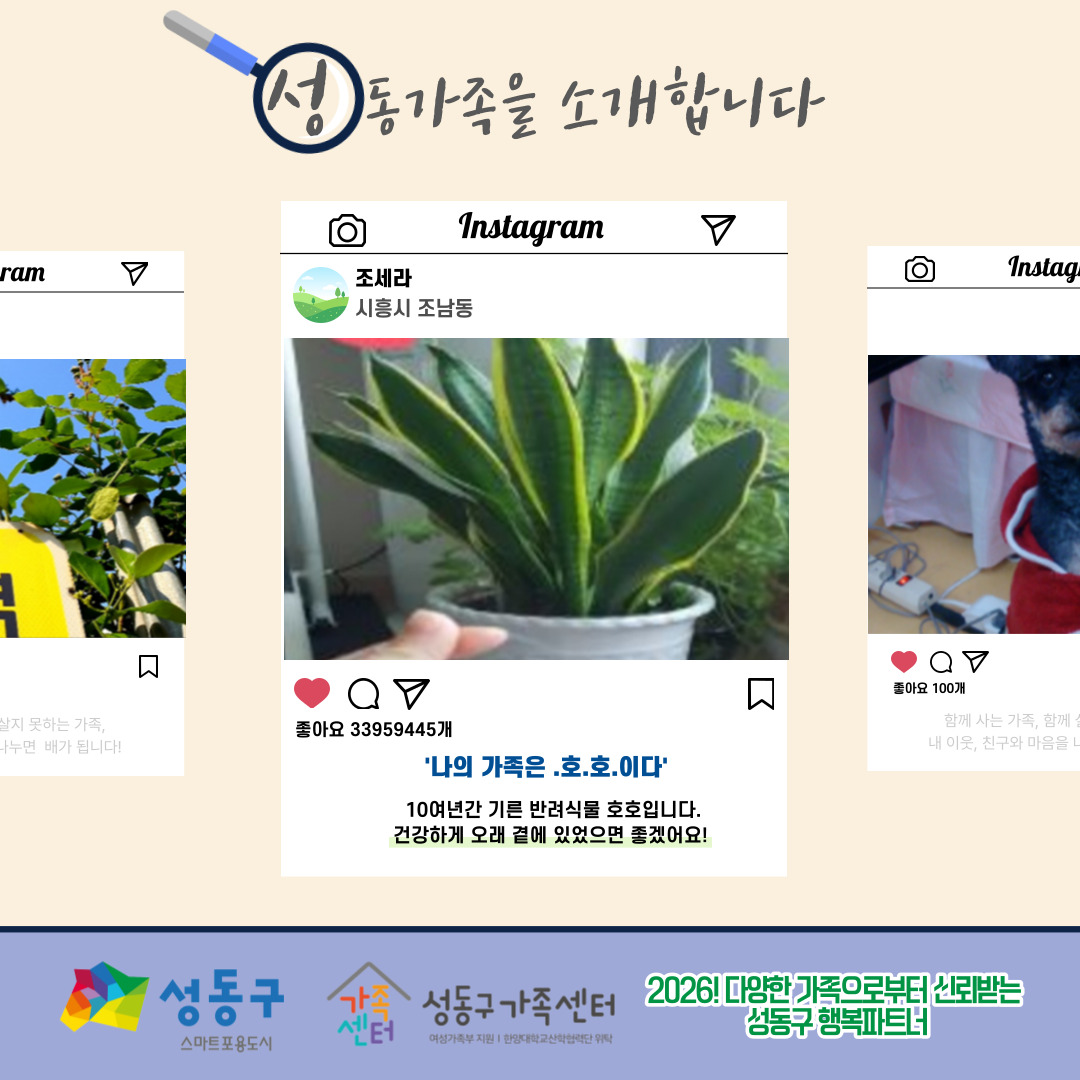 [다양한 가족 이해 캠페인 - 성동가족찾기] '가족'이라는 단어를 보면 어떤 모습이 생각나나요? -2