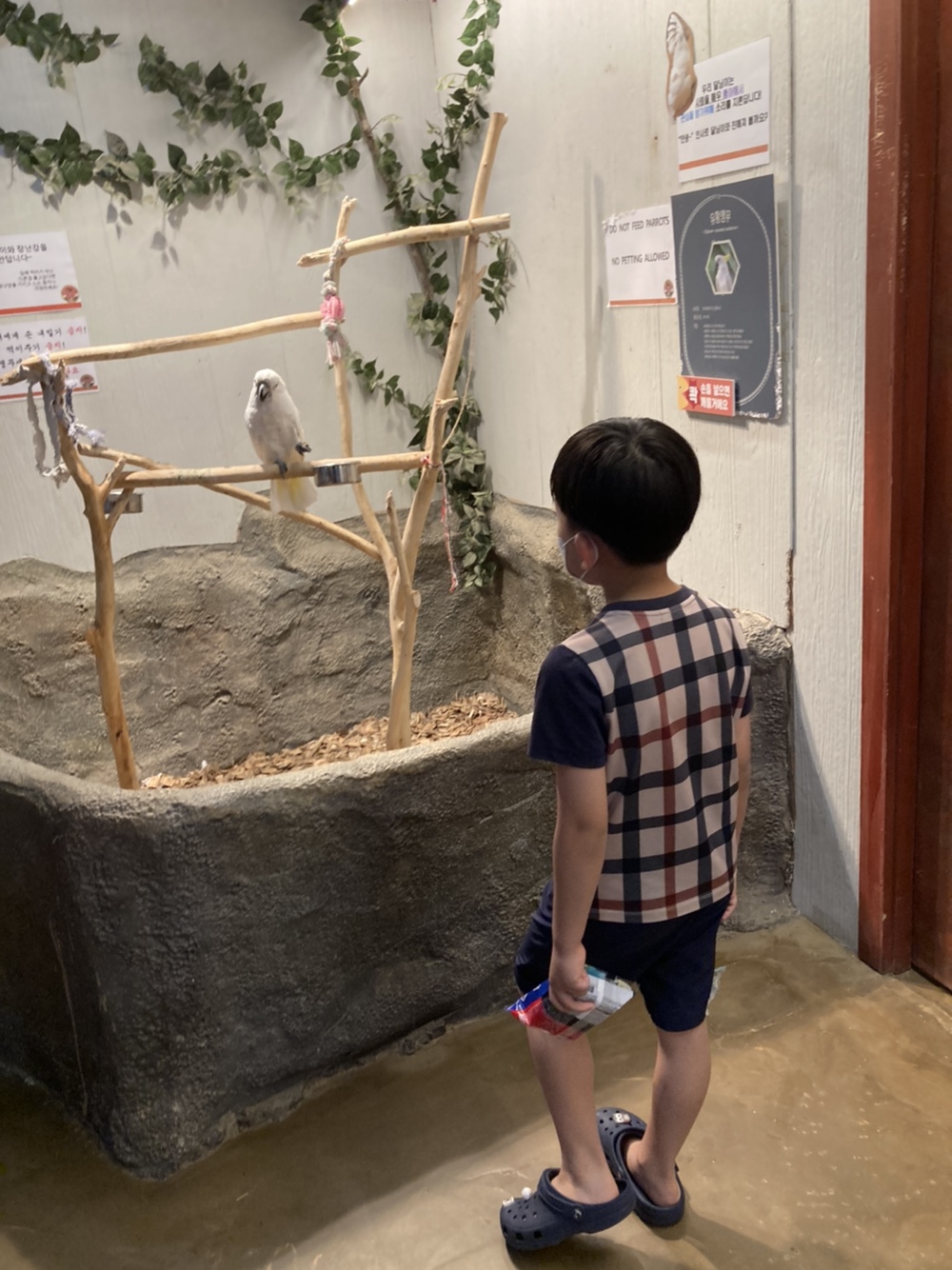 방학체험프로그램-방학이색다르다(5회-캐니언파크체험)