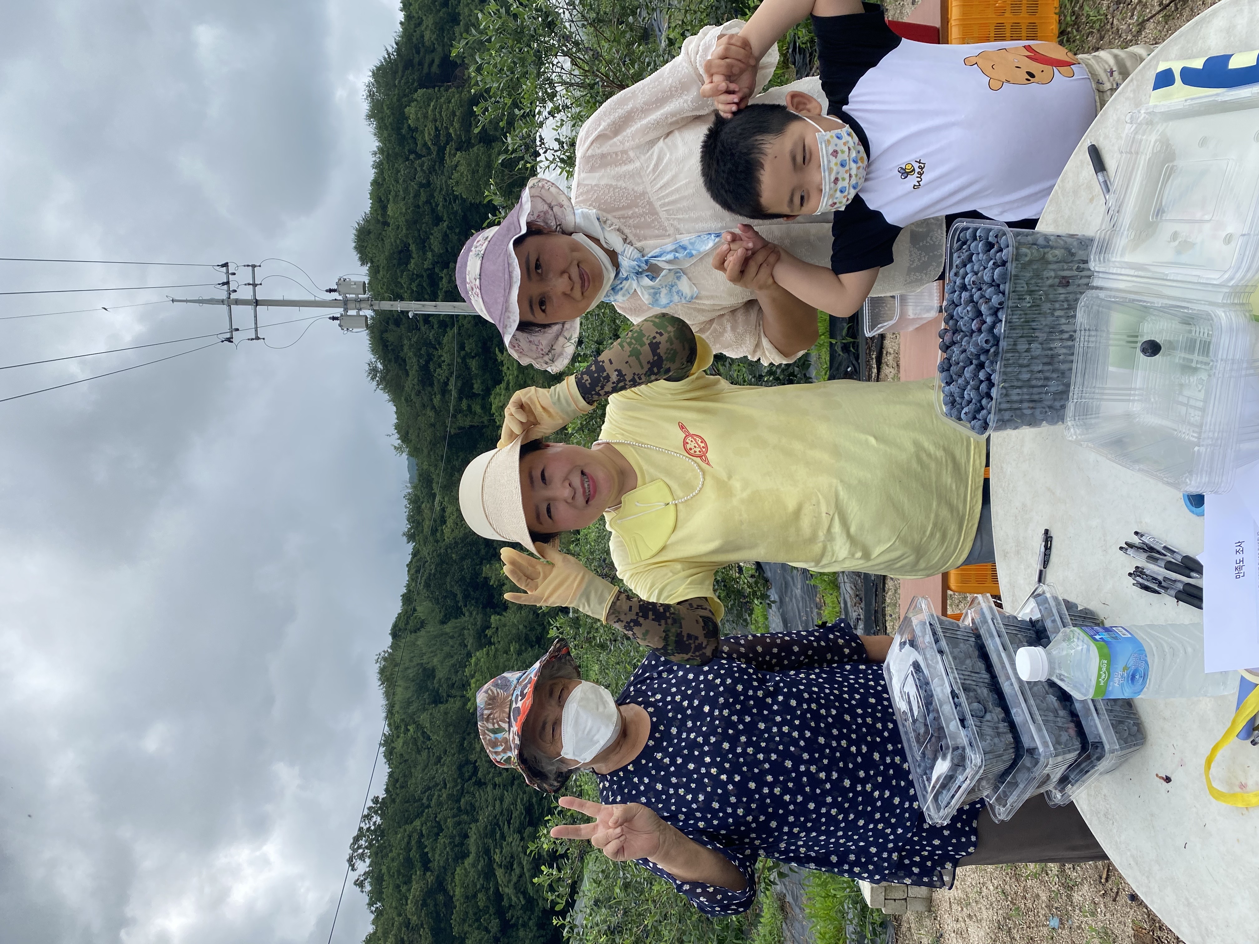 블루베리 체험