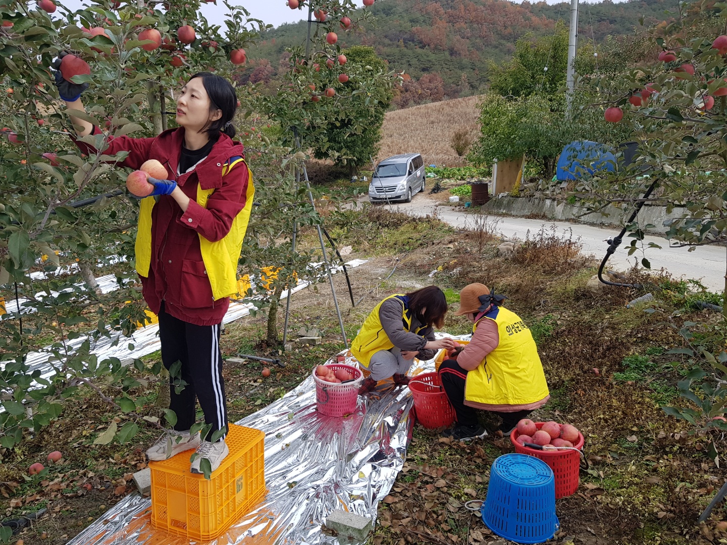 지구촌봉사대 하반기 농촌일손돕기 전개!