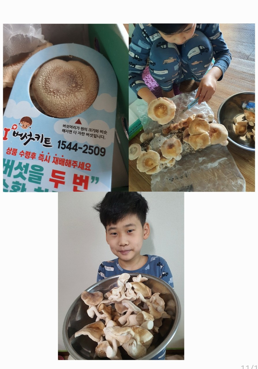 2022년 방콕정원