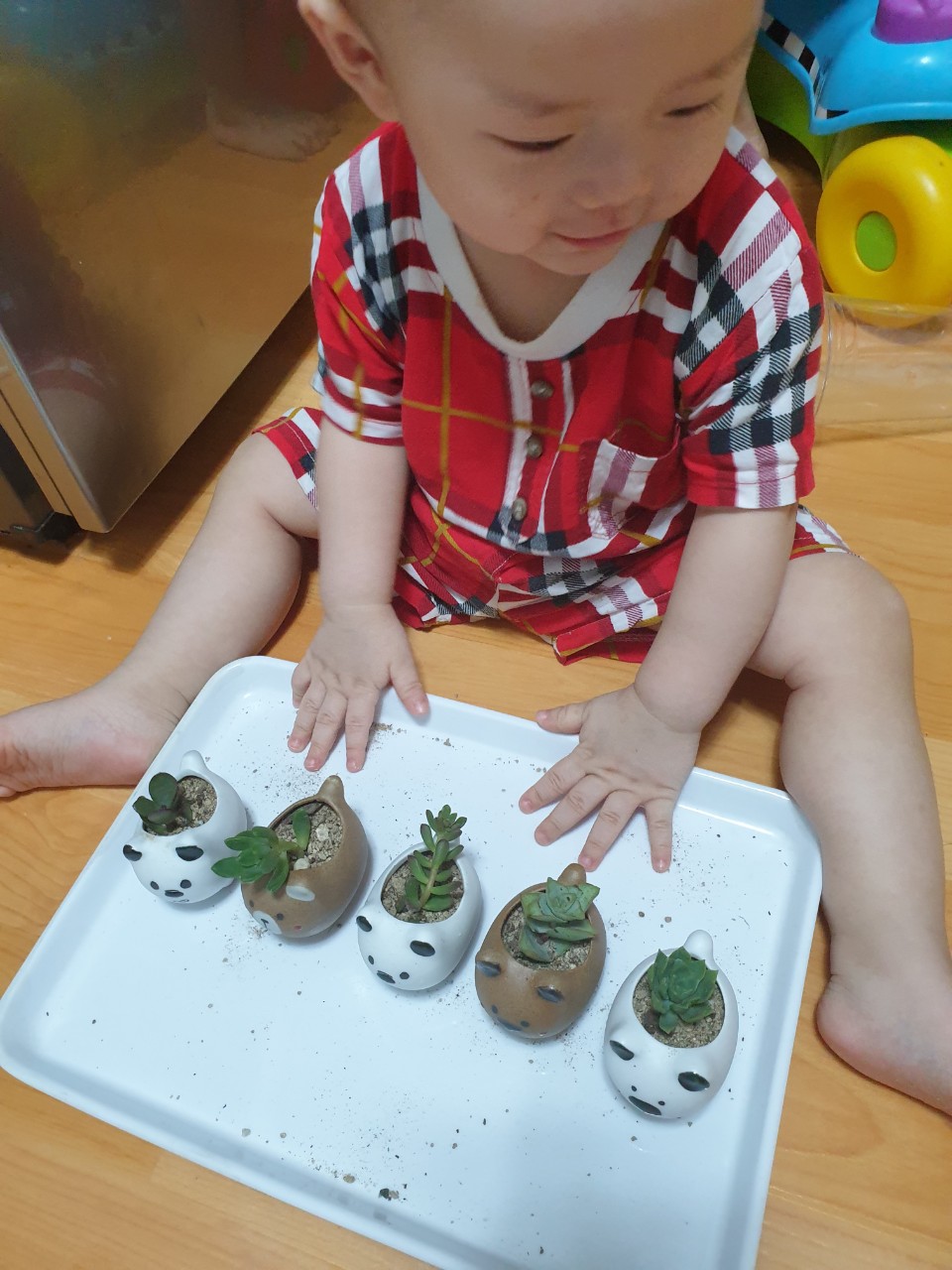 2022년 방콕정원